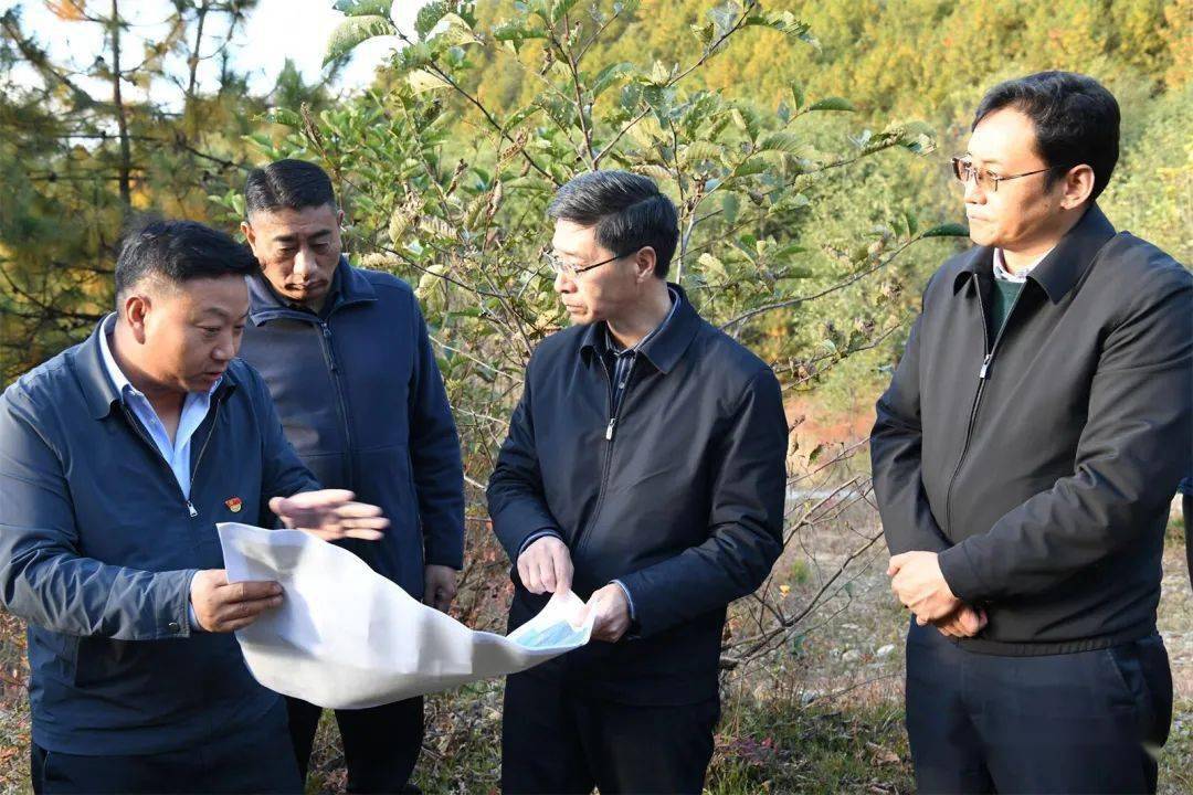 罗朝峰到维西县调研及开展巡林时强调:以农村产业发展支撑乡村振兴