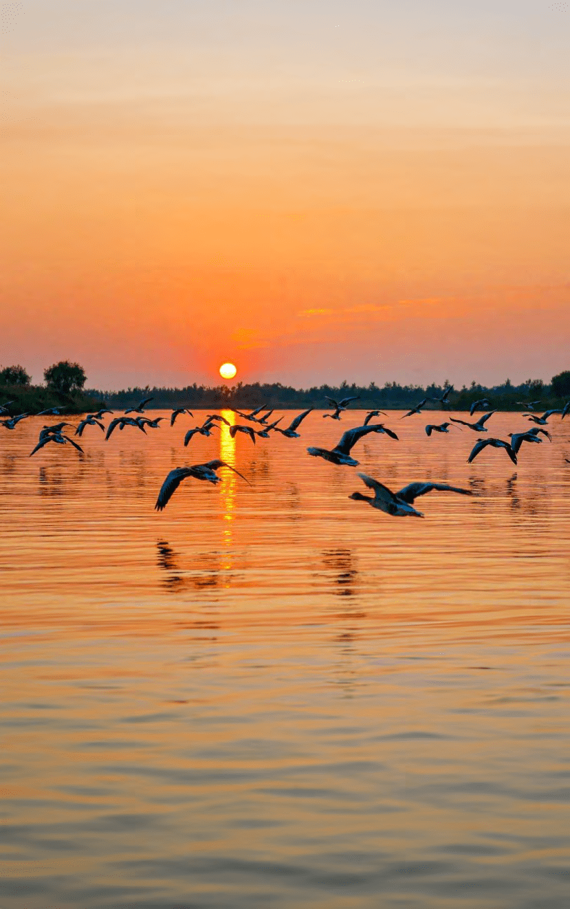 周末去盐城"微度假",这里有各式各样的新玩法!