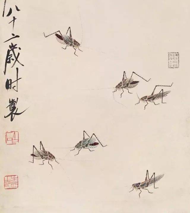 齐白石画的蝈蝈和蝗虫,美_国画_写意_花鸟