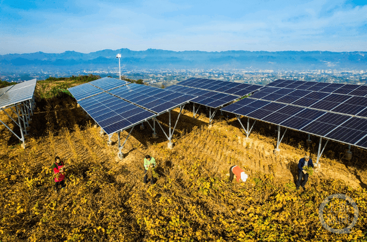 "农光互补"低碳富农_发展_发电_光伏电站