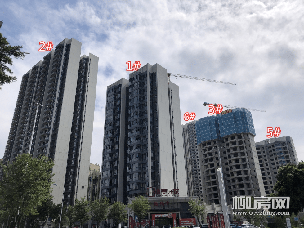 颐和家园,龙光·玖悦湾,云星·钱隆御景,还有温馨地产旗下的丽景馨居