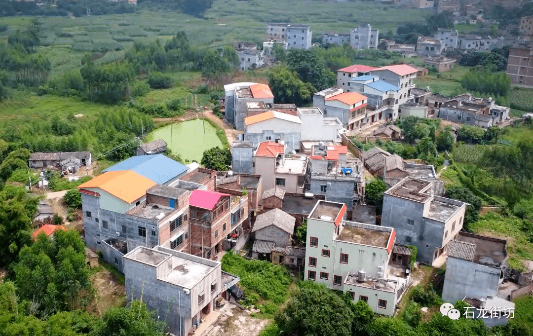 钟山县石龙镇图片