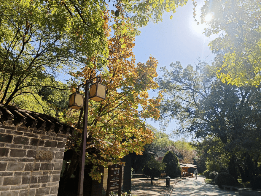 9元周原景区惠民门票火热上线,快@你岐山的小伙伴一起煦暖阳,游周原啦