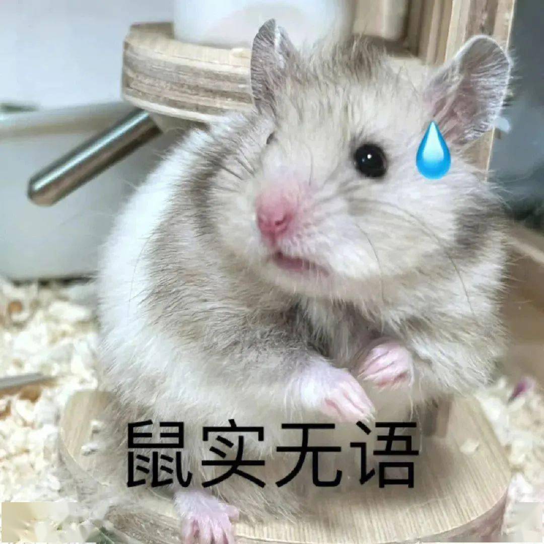 热门微信表情包:我又可以了