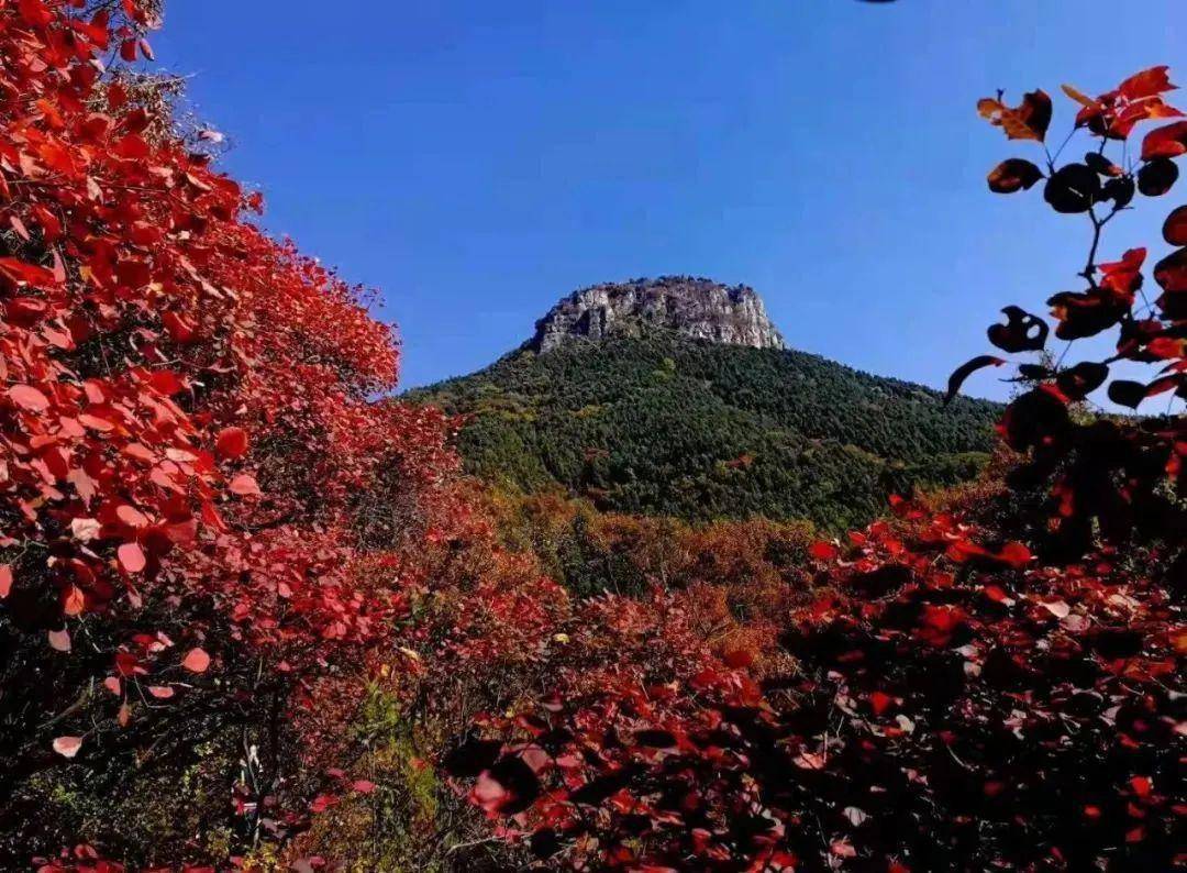 摄影:姜玉树来山亭,欣赏岩溶地质地貌自然奇观——熊耳山大裂谷.