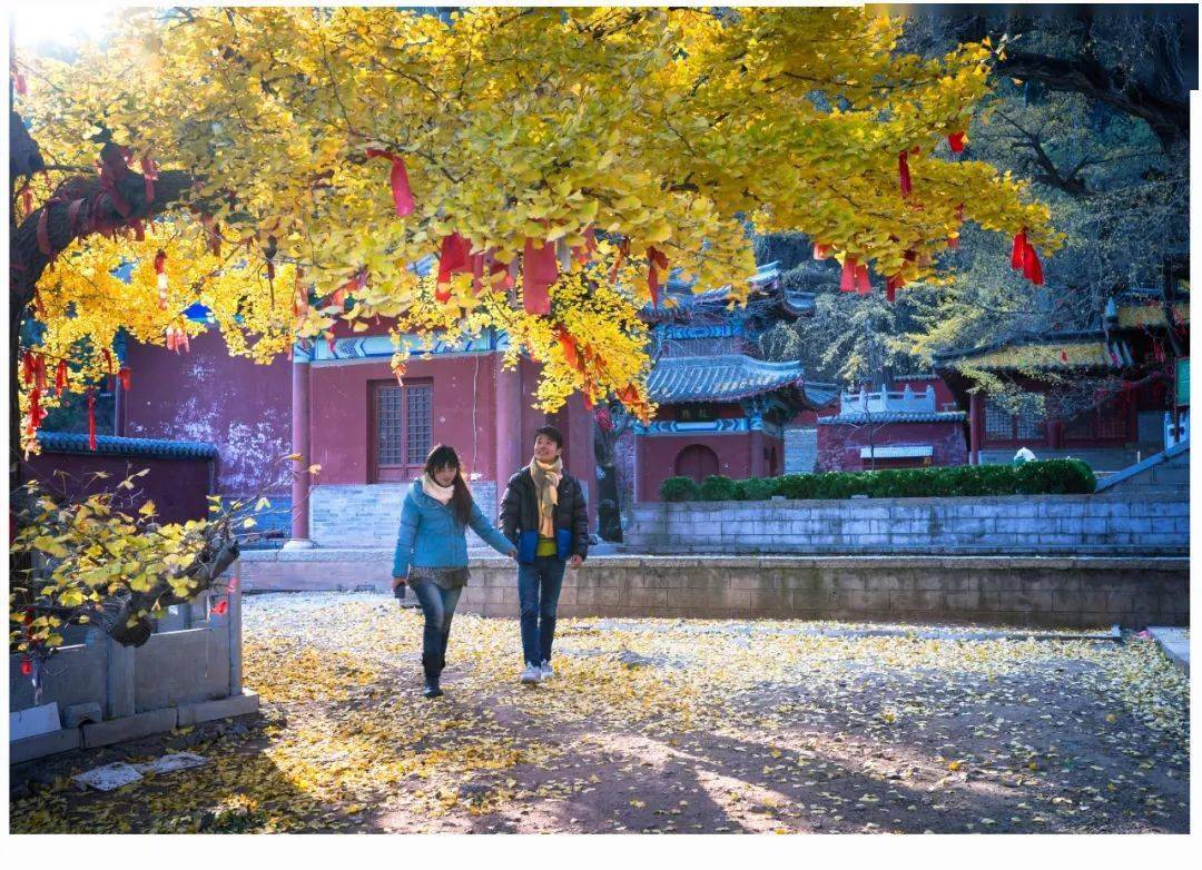 灵泉山的秋色这么美,你可曾缺席?_秋水_石龙_经风历