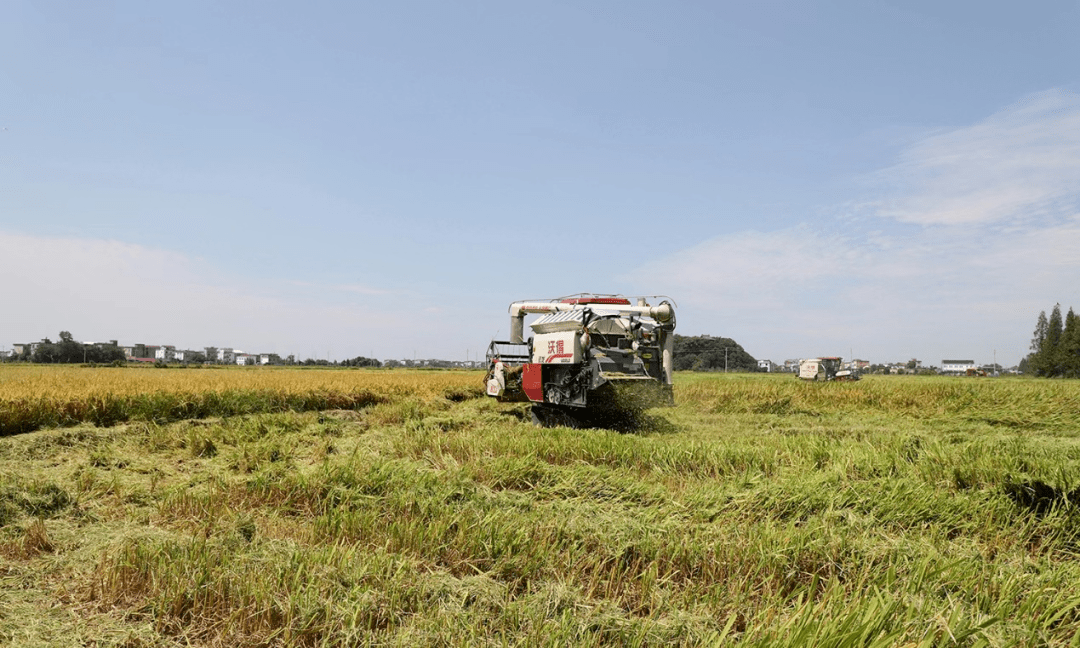 近日,上饶市农业农村局,余干县农业农村局农机技术人员在余干县玉亭镇