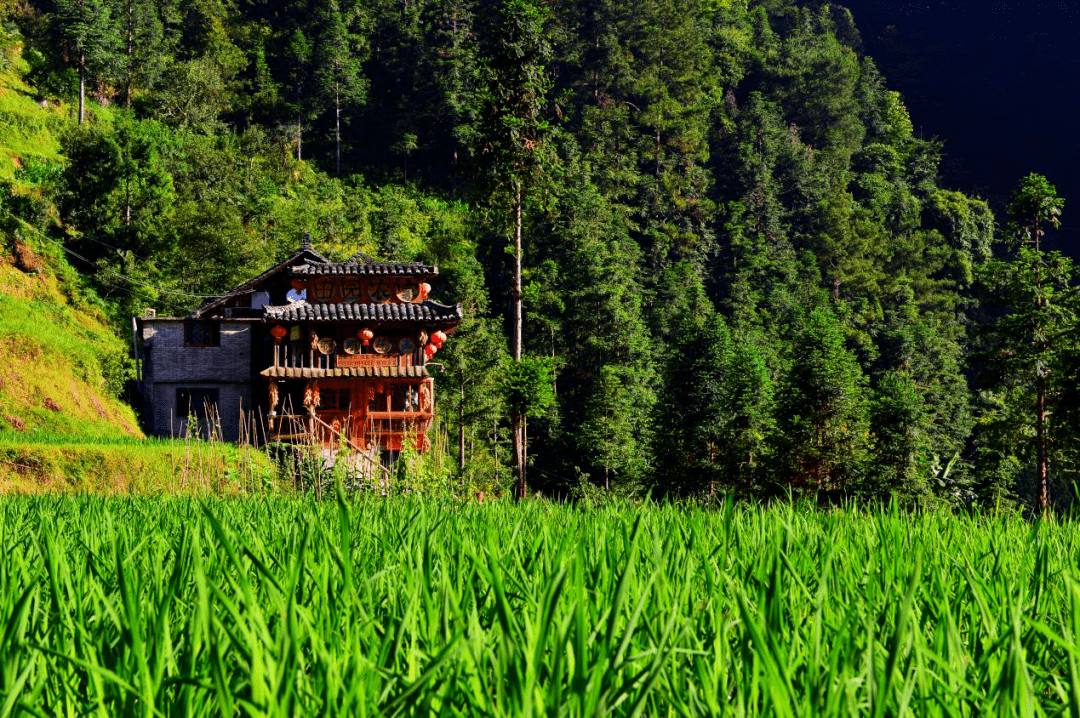 拥抱巴拉河,听她诉说路途的风景_雷公山_城市_乡村旅游