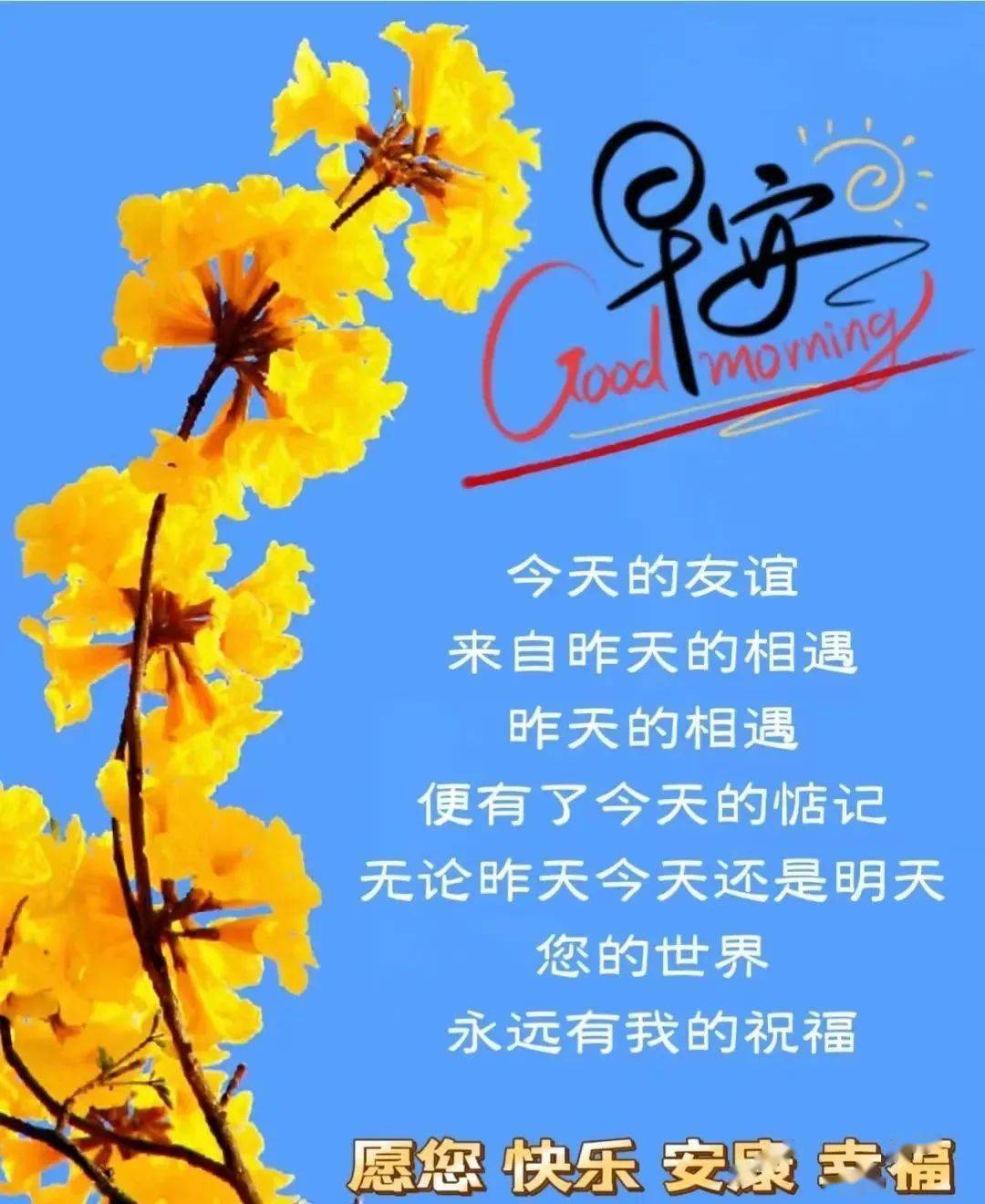 问候情人早安图片