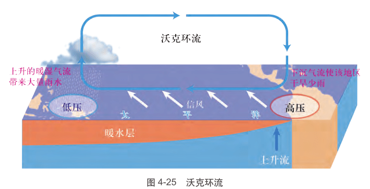 相反,熱帶季風氣候的季節差異則較為明顯,因此其雨季