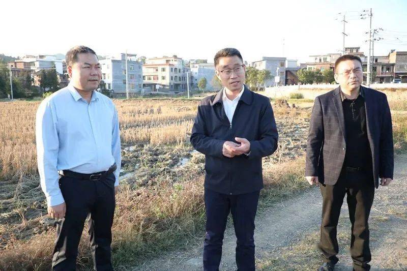 杨友忠到金陵镇督导安全生产,校园食品安全和森林防火等工作唐清林