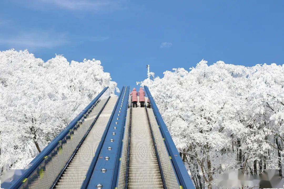 汉中龙头山 | 冬天原来可以这么美~_冰雪_冬日_栈道