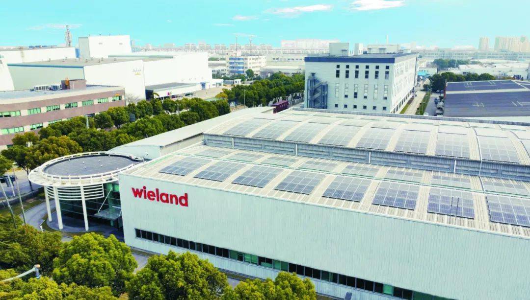 【视点】维兰德:一个跨国公司的"国际范儿"_上海_外高桥集团_资金