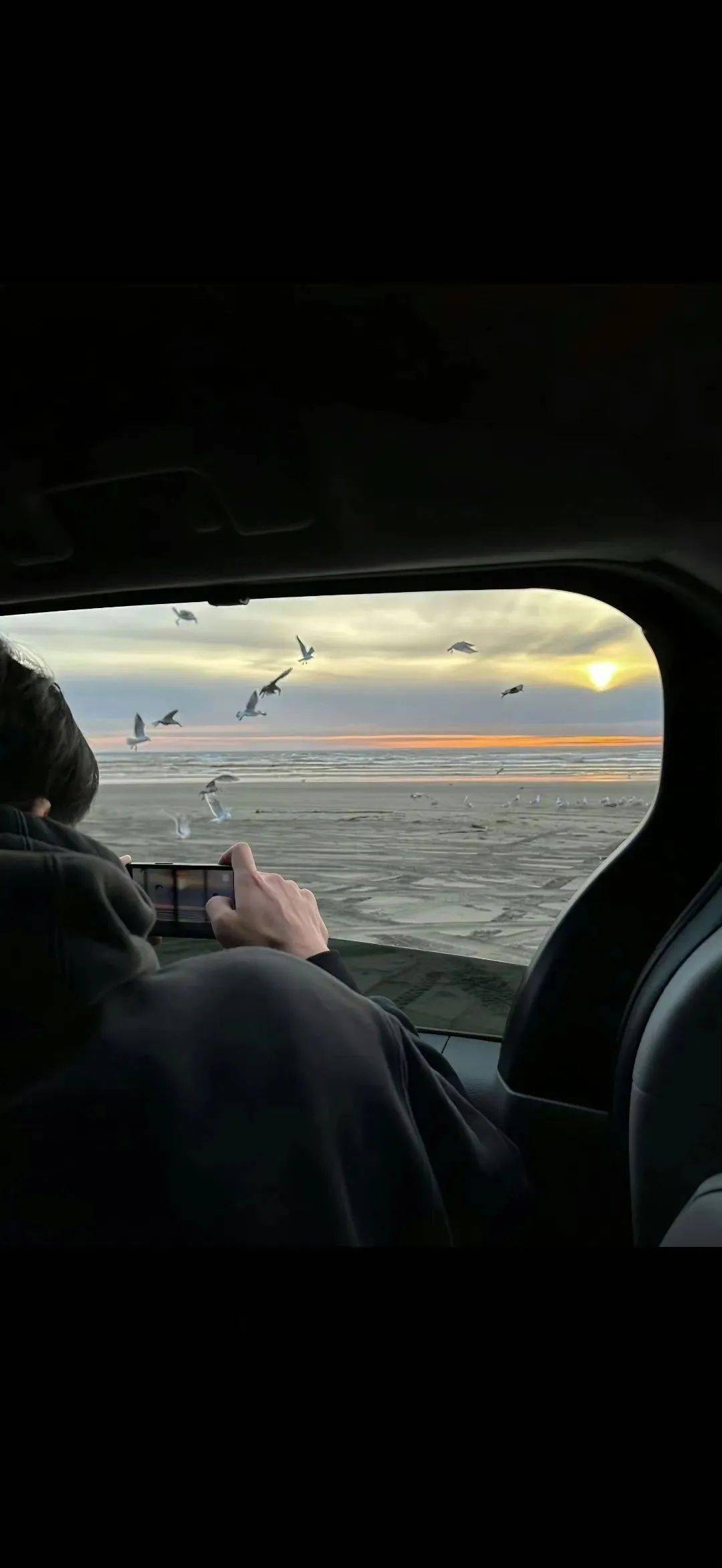 意境壁纸|答案在路上 自由在风里_cr_网络_冬日