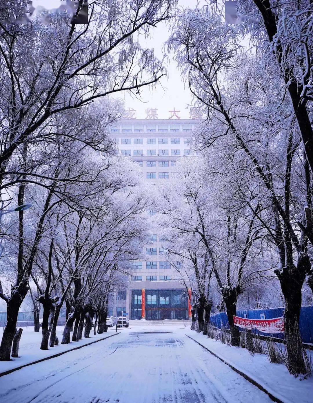 山东建筑大学雪景图片