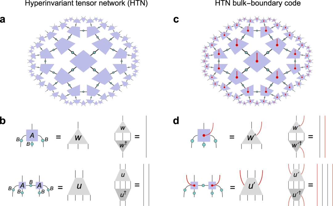 commun.速遞:基於超不變張量網絡的全息編碼_量子_論文_邊界
