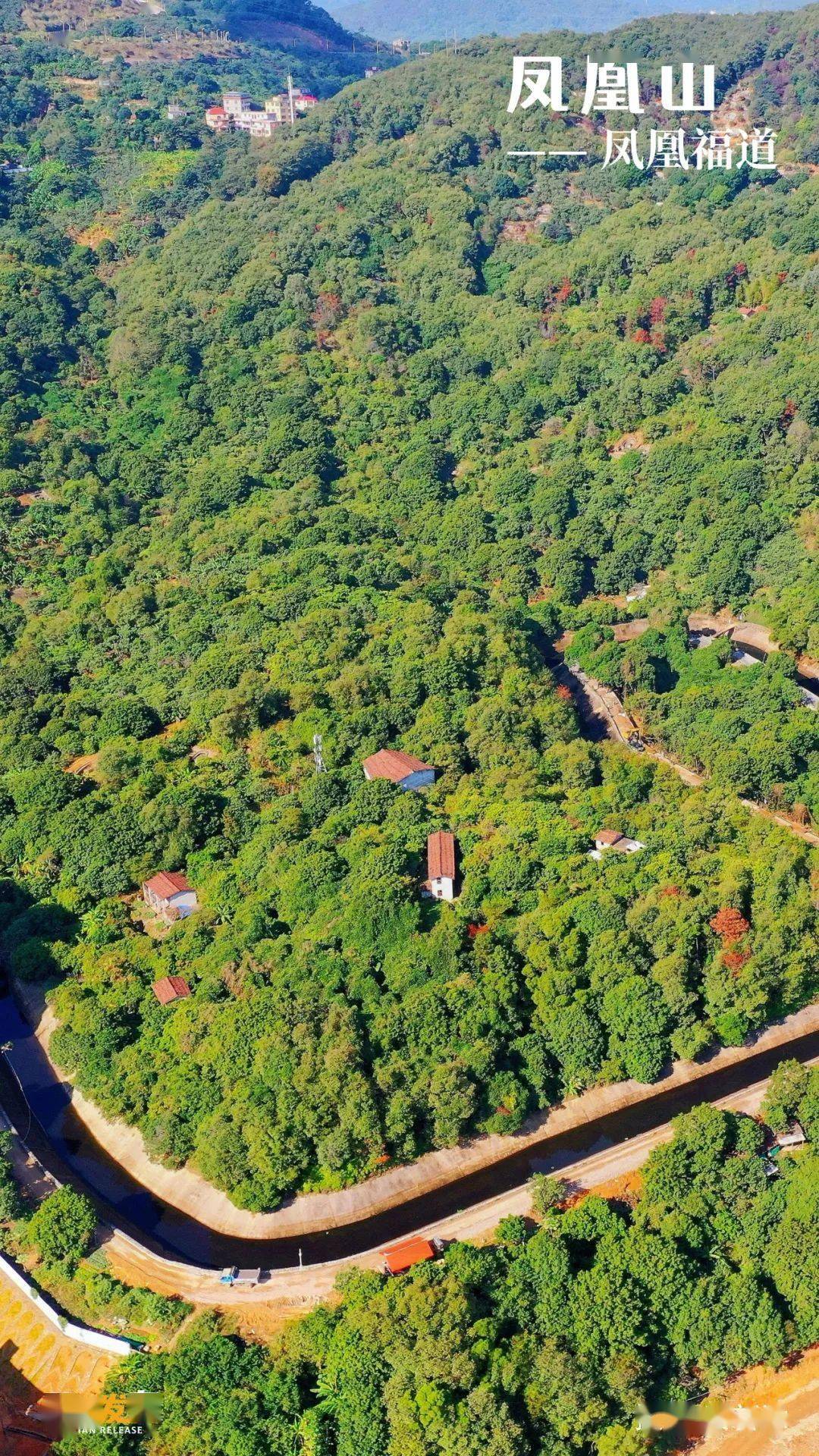 "胶鞋大王"与莆田第一座公园_凤凰山_建设_城市