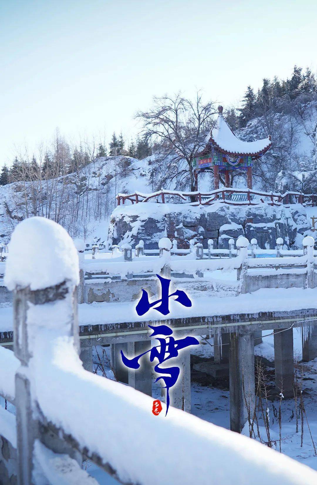 856生活小雪凛冬已至落雪为安
