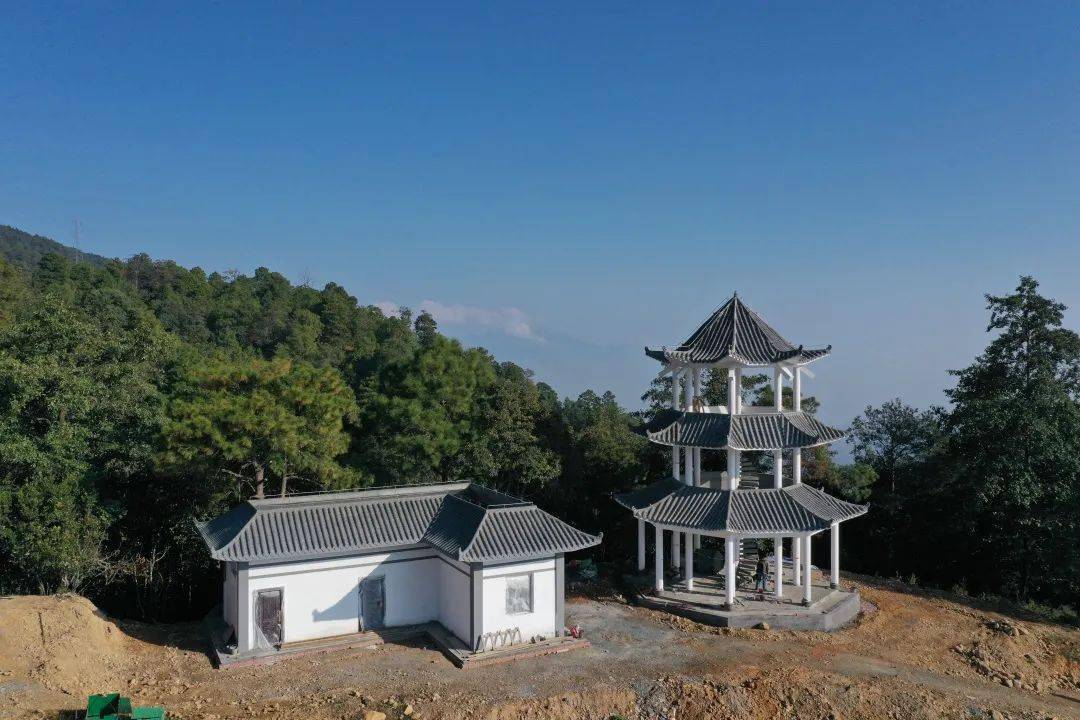 站在这里,瞭望八万亩莽莽林海_前进镇_监测_主体