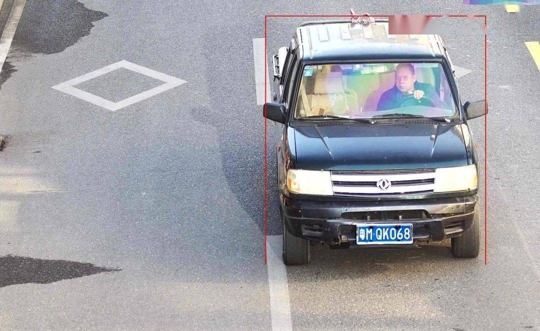 大埔又一批车辆被曝光_违法_所有人_车牌号码