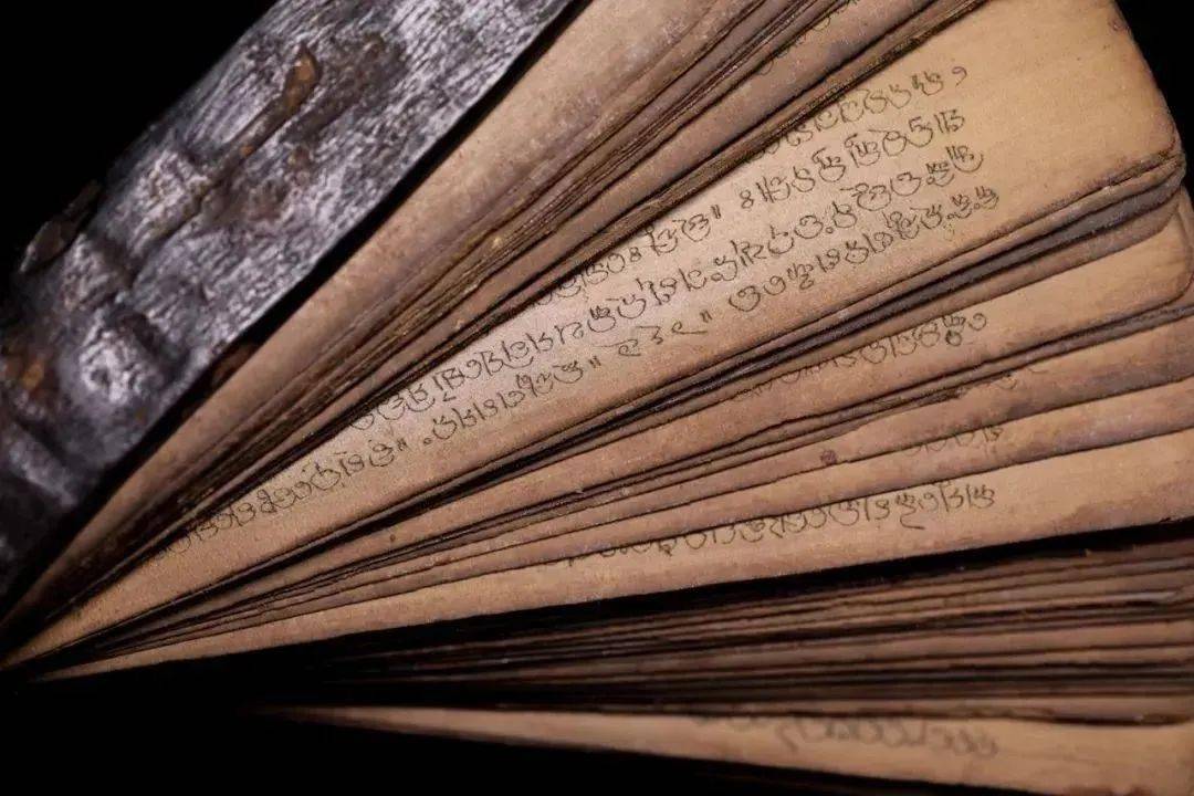 书写千年文化方舟——贝叶经_贝树叶_佛教_写本