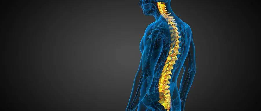 【健康茂县】爱"脊"护"脊",预防脊弯_脊柱_青少年_儿童