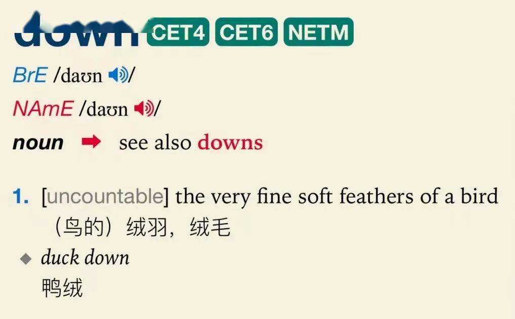 down是下,jacket是夹克,down jacket是什么?