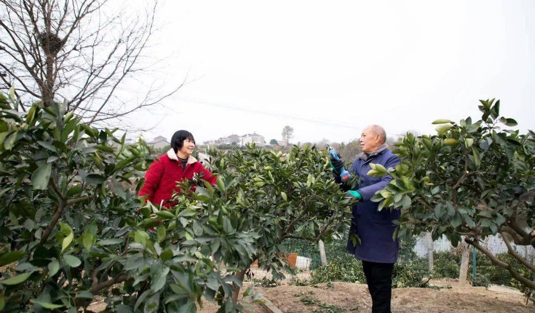 清廉家庭展播||徐典家庭:涵養廉潔力量 踐行清廉家風_工作_一家_組織