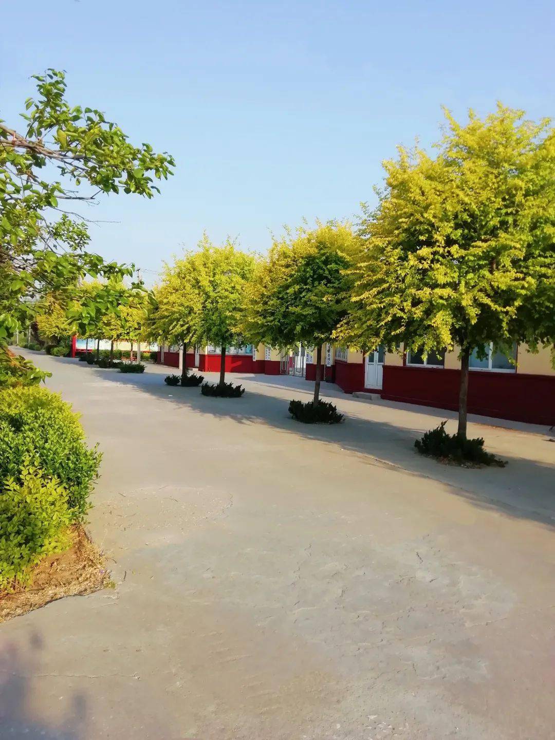 多彩乡村美如画青岛平度市明村镇兰科村移步皆是景处处好风光