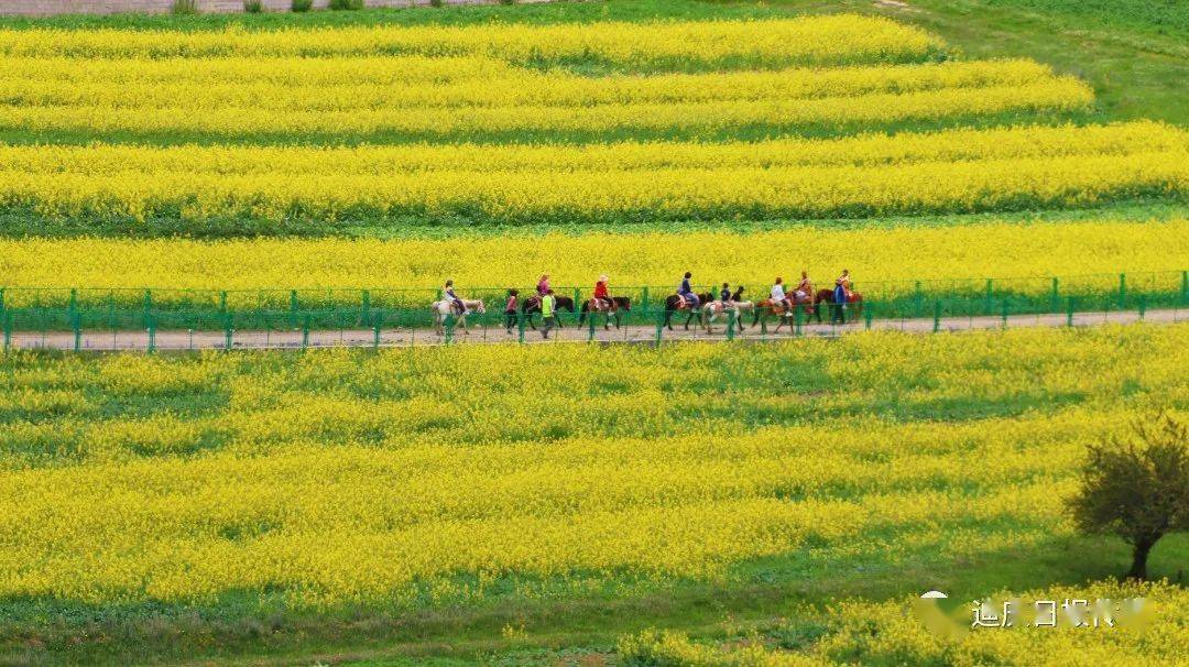 乡村旅游撑起农民"钱袋子"——建塘镇纳帕海乡村旅游促农增收典型案例