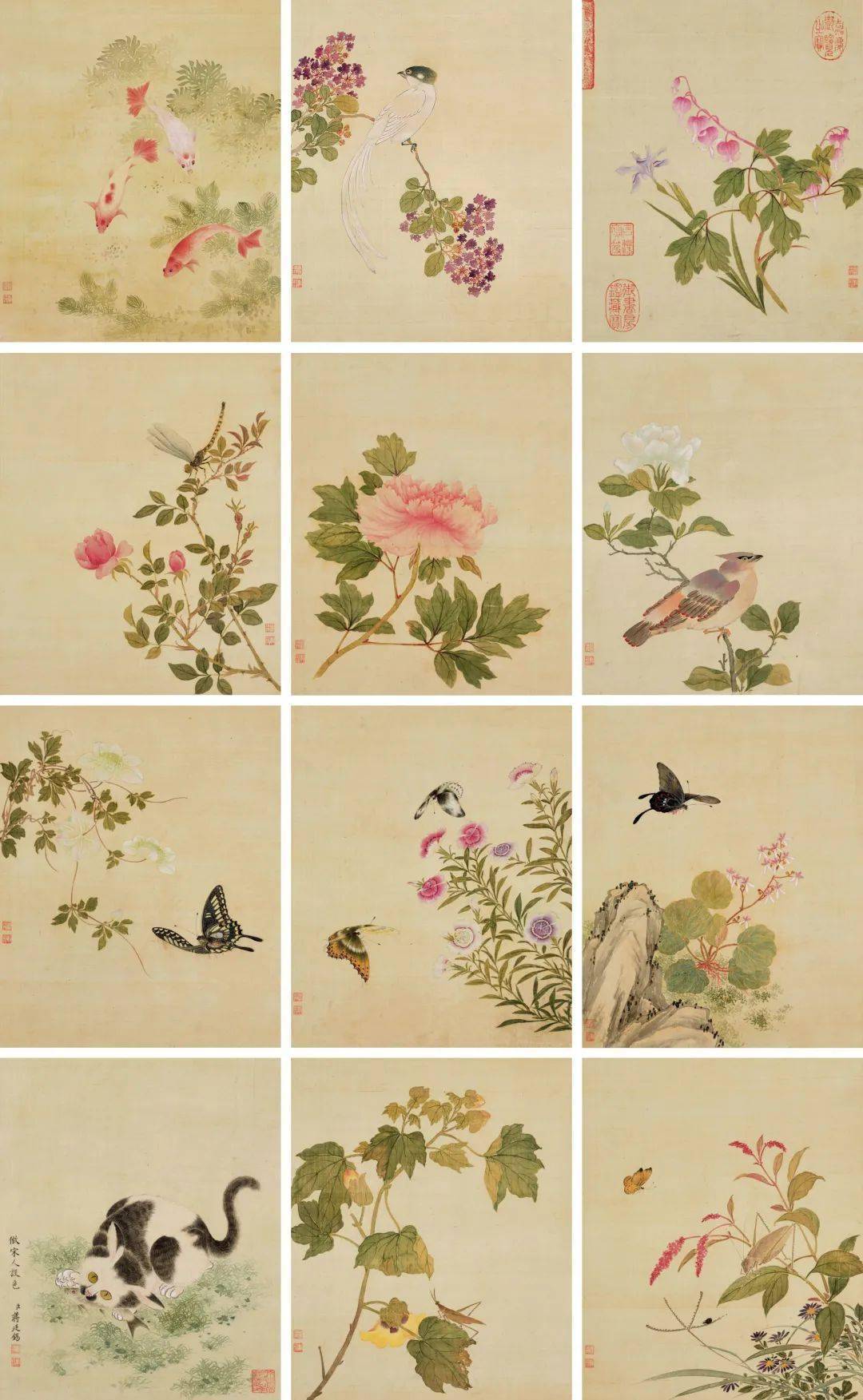 蒋廷锡仿宋人设色图册十二开,灵动鲜活_花鸟画_恽寿平_清朝