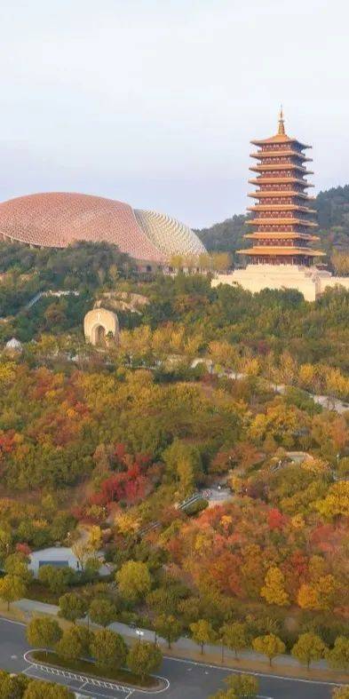 升级豪叹天下鲜