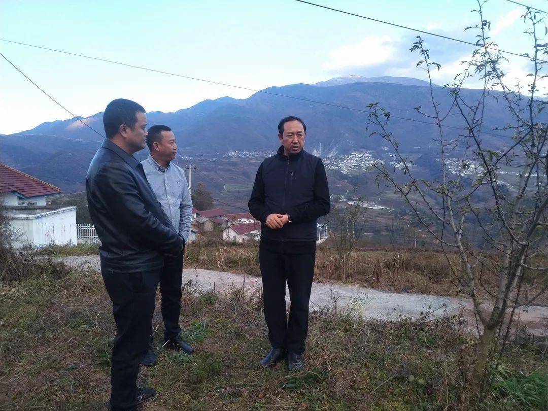 沙马木机到尔觉镇调研花椒产业发展工作_视频_相关_苗木