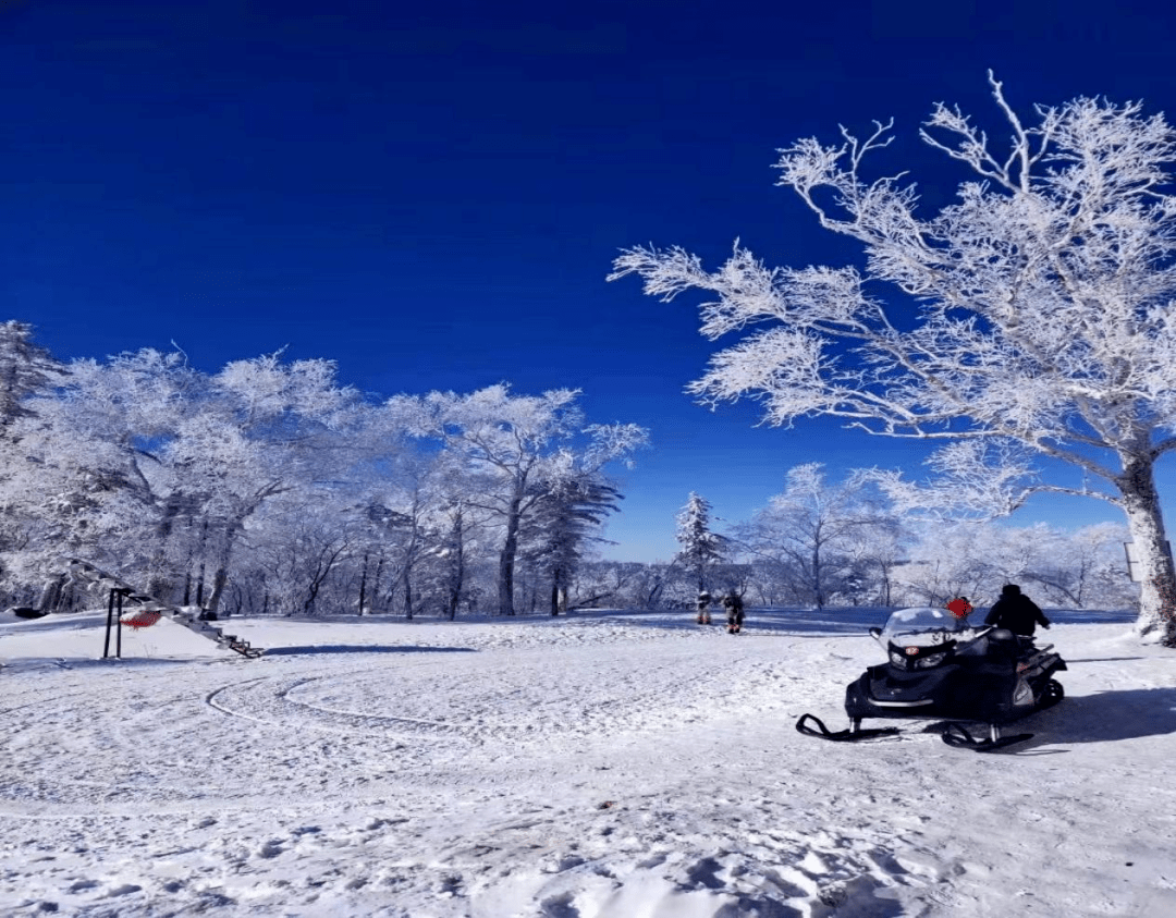 不容错过——"中国雪谷"景区现已正式开园!_游客_服务_旅游