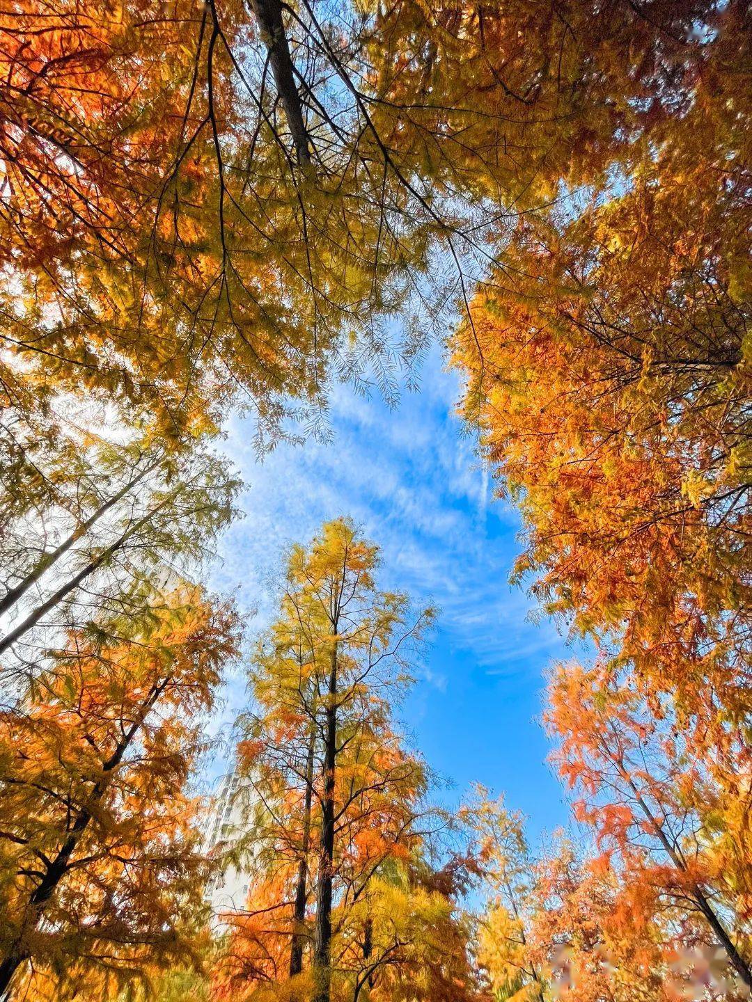 红梅公园海底世界门票图片