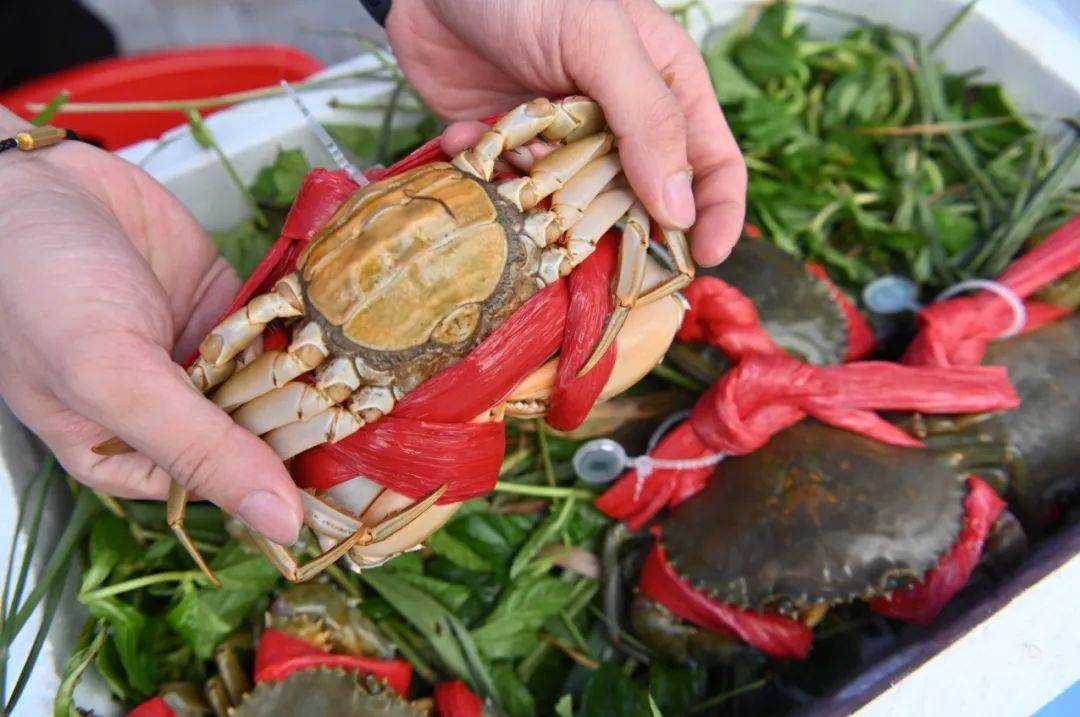 广州市_珠江_湾区