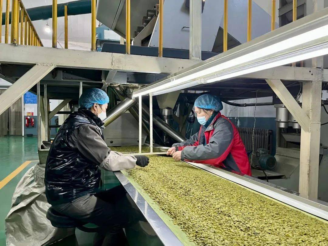 做足"粮头食尾" "农头工尾"大文章_农产品_宝清_加工