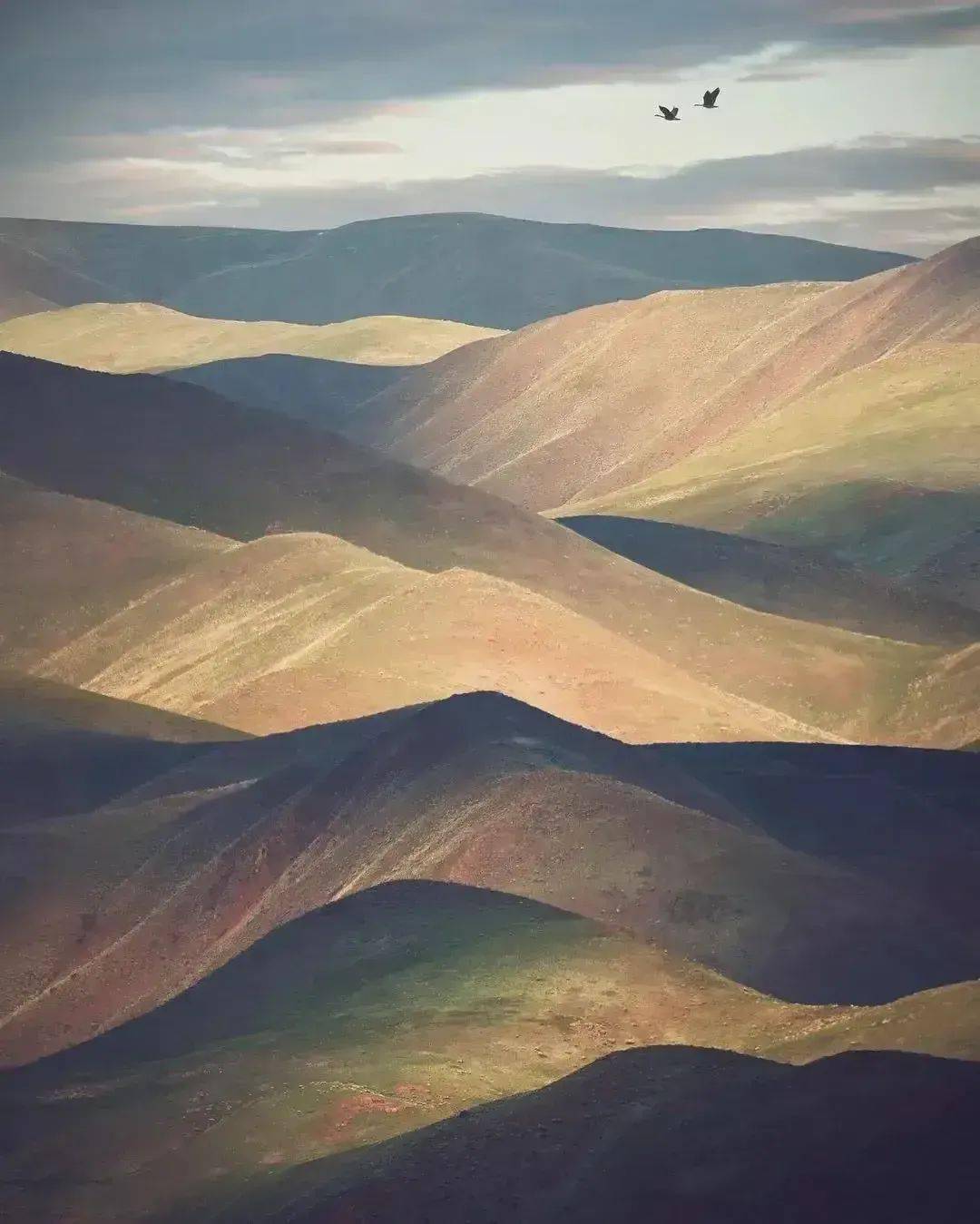 【砚外之艺】 美国摄影师|本杰明·埃弗里特充满诗意的摄影作品_留言