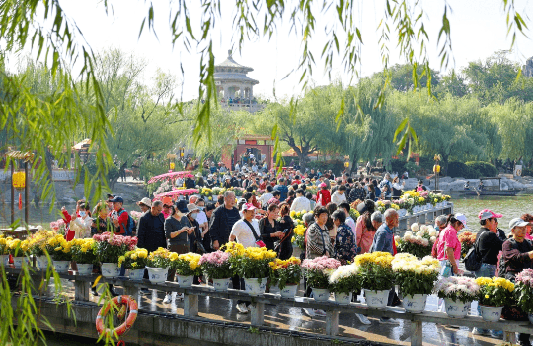 菊开新时代 花香满开封—开封今年菊花文化节精彩