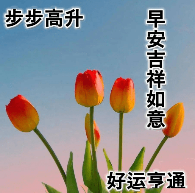 相遇最美的早安图片图片