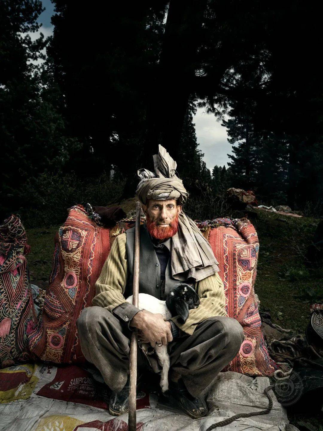 摄影界奥斯卡露西奖(lucie awards)的姊妹奖赛,每年都举办一次全球