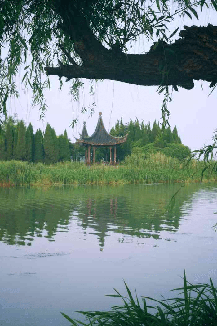 看呆了!_崑山_古鎮_水鄉