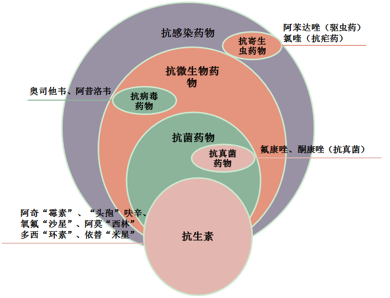 停止滥用抗微生物药物，防范超级菌要这样做_耐药性_斗争_抗生素
