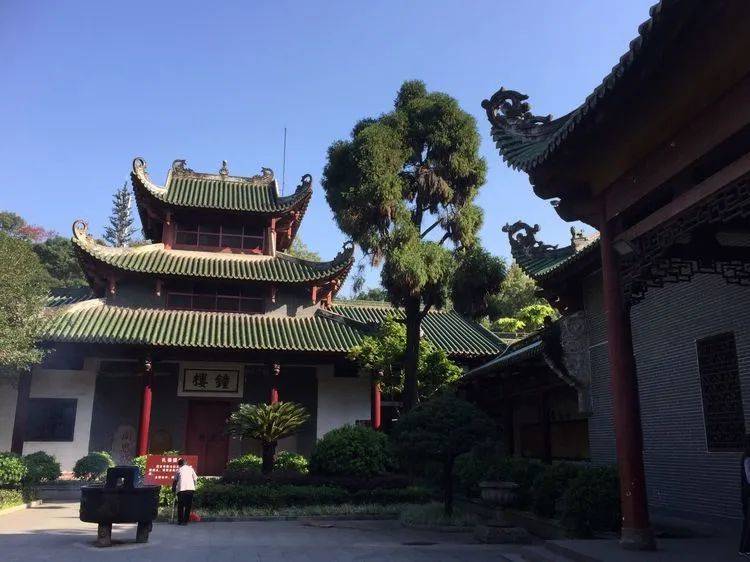 南华寺,帽子峰银杏粤北秋色三天游_文化广场_特色_广东