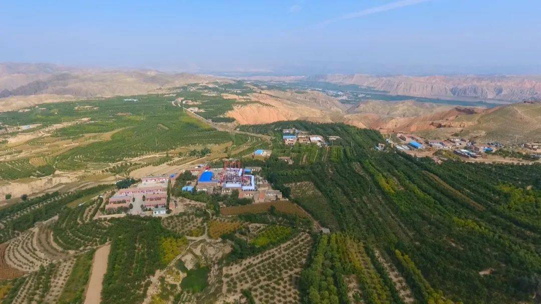 【乡村振兴】靖远,悠悠红枣情_石门_产品_产业