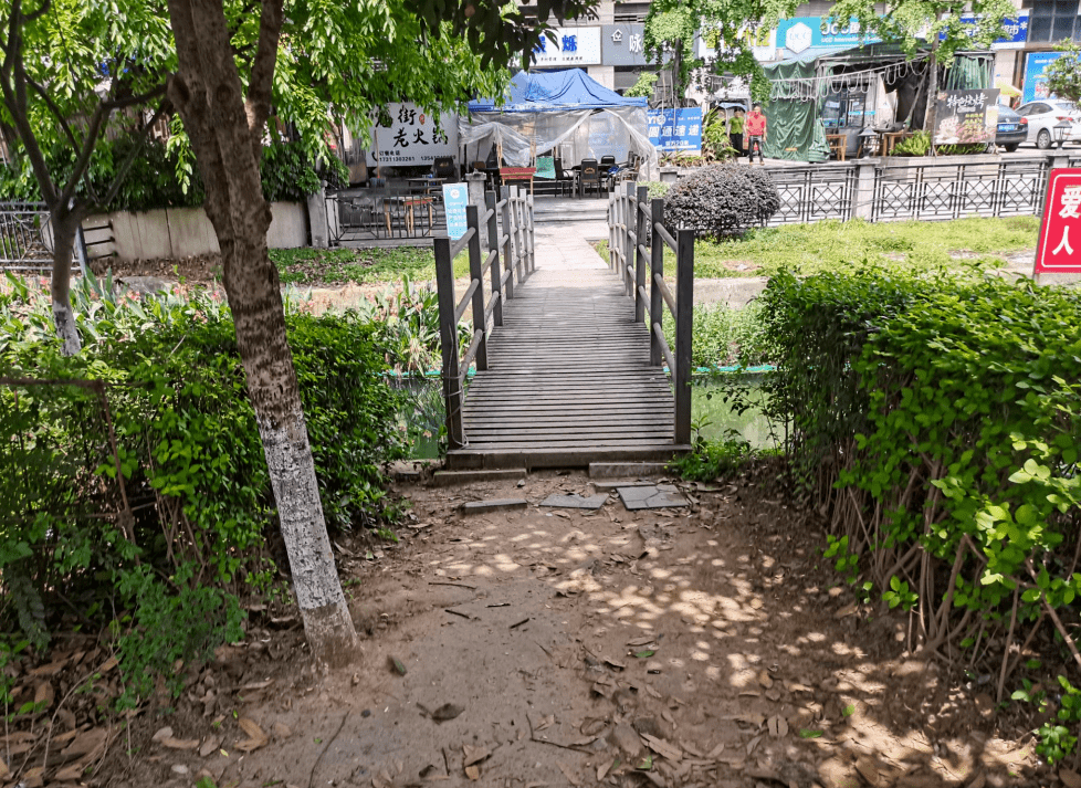 after transformation改造后在力扬时代沿河道侧栽植蔷薇沿河堤栏杆