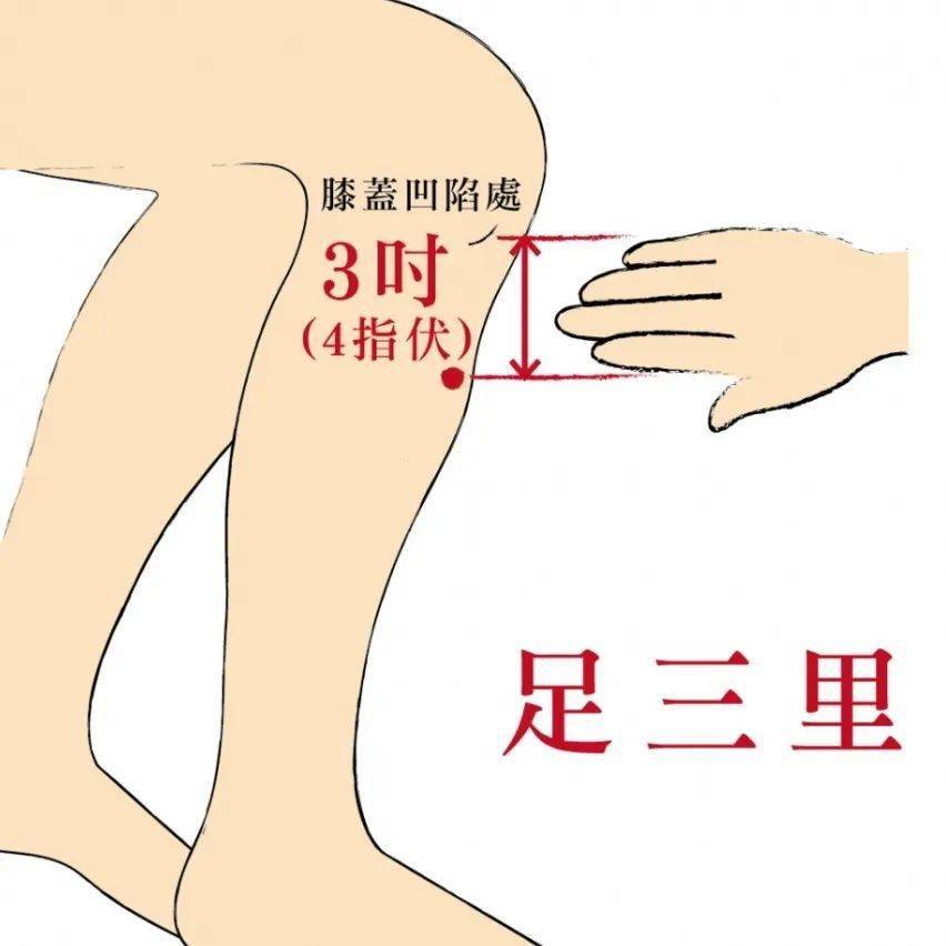 04风04,"老寒腿"不分年龄,中医支招守护膝盖_膝关节_功效_中医药