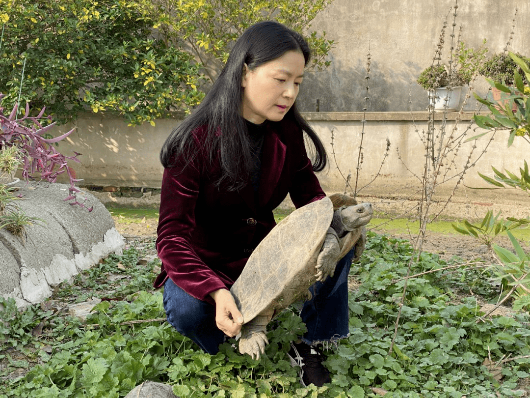 【代表故事】夏晴:破局立新 解群众之难_养殖_扬州_张某