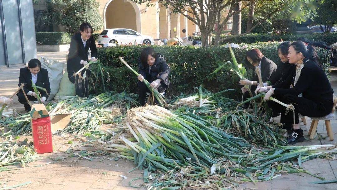 11月28日下午,由青島平度中傑農場特供的新鮮蔬菜如約而至.