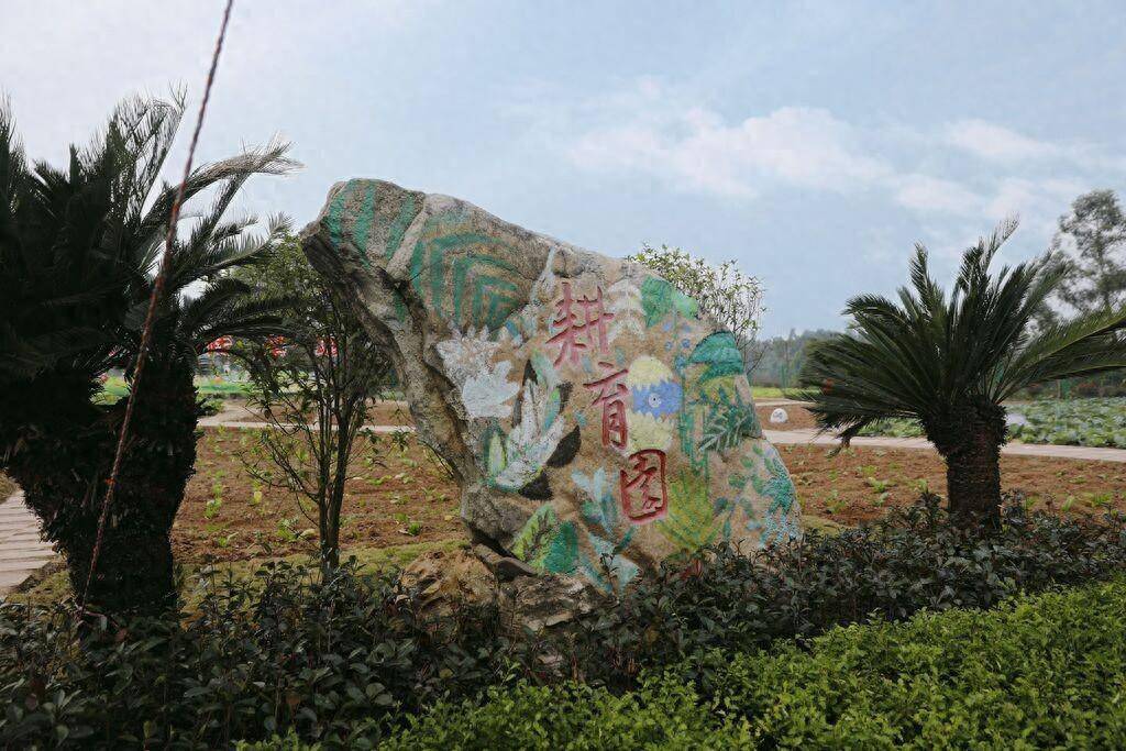 书香遇见"蔬"香 大安区回龙镇中心校有座"耕育园"_劳动_实践_收获